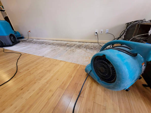 Professional Ceiling Water Damage Repair technician working in Satellite Beach, FL